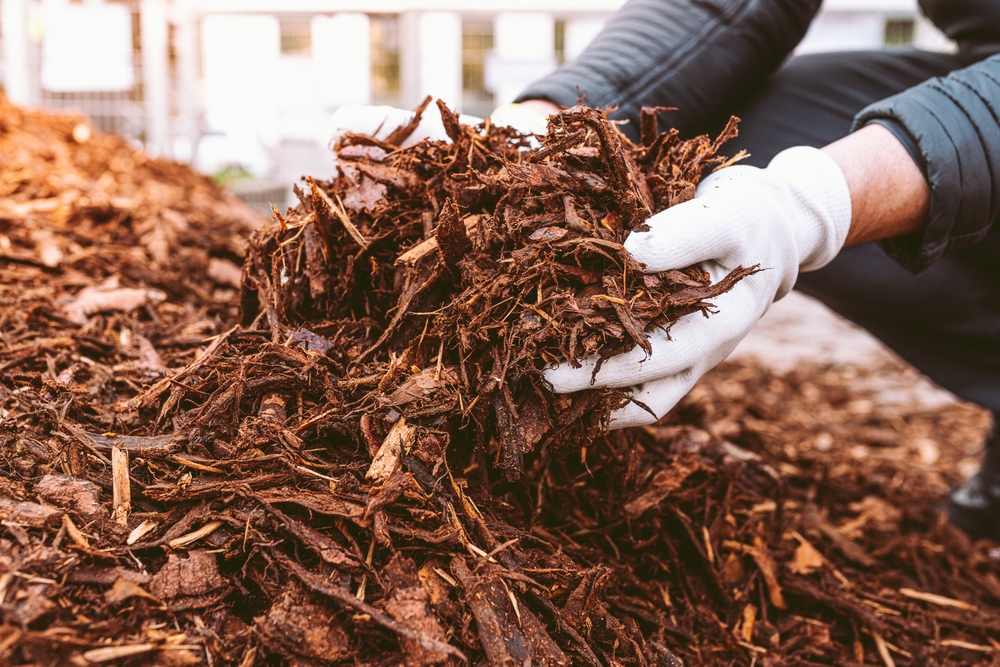 Gardener's,hands,in,gardening,gloves,hold,recycled,tree,bark,,natural