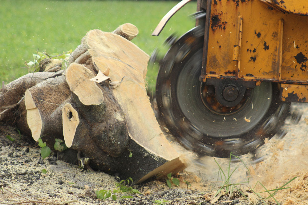 Stump Grinding